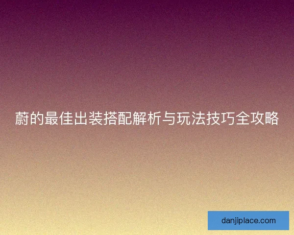 蔚的最佳出装搭配解析与玩法技巧全攻略