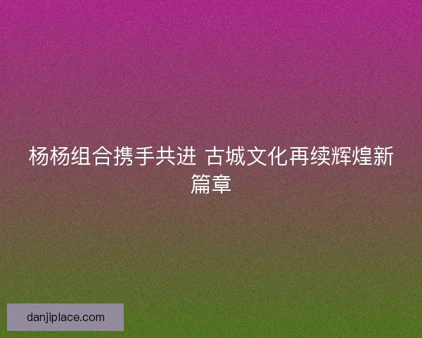 杨杨组合携手共进 古城文化再续辉煌新篇章